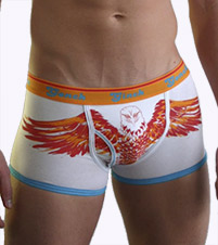 Feathers of Fire Sports Brief Trunk